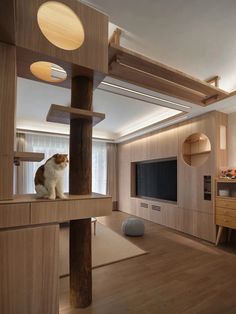 a cat sitting on top of a wooden shelf in a living room next to a tv