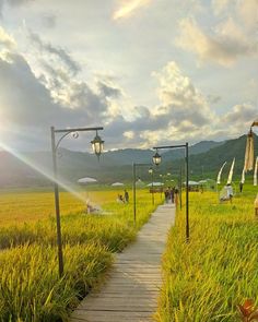 a wooden walkway leads to an open grassy field with umbrellas and chairs in the distance