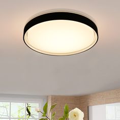 a living room scene with focus on the ceiling light and flowers in the vases