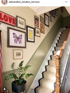 a staircase with pictures on the wall and a potted plant