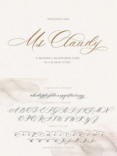 an elegant calligraphy font and script with gold ink on white paper that says, mr candy