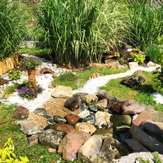 a garden filled with lots of rocks and plants