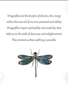 a dragonfly sitting on top of a piece of paper with words written below it