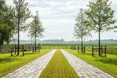 a stone pathway leads to several trees in the middle of an open field with grass and cobblestones on both sides