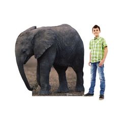 a man is standing next to an elephant