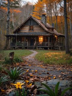 a house in the woods surrounded by trees with leaves on the ground and yellow flowers