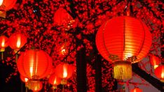 many red lanterns are lit up in the night sky above some trees and branches with leaves on them