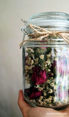 a hand holding a jar filled with dried flowers