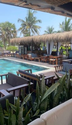 an outdoor dining area with tables and chairs next to a pool surrounded by palm trees