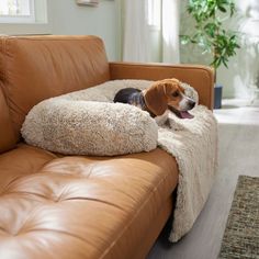 a dog laying on top of a brown couch