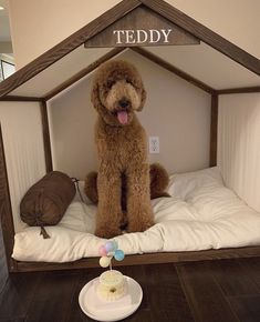 a brown dog sitting on top of a bed with a birthday cake in front of it