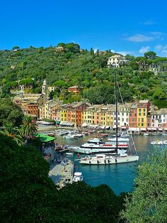 boats are docked in the water next to some buildings on a hill with many trees