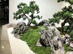 bonsai trees and rocks are on display in a room with white walls behind them