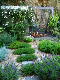 an outdoor garden with flowers and chickens