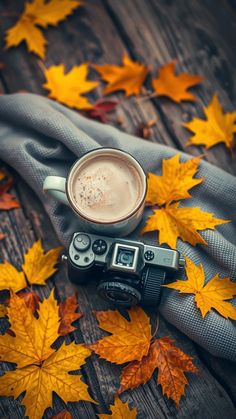 a camera and some autumn leaves on a wooden table with a gray scarf over it