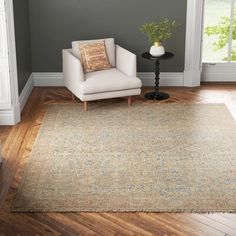 a living room with a chair and rug