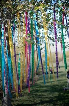 colorful streamers hanging from trees in the grass