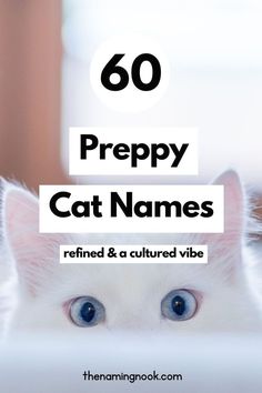 a white cat with blue eyes and the words, prepy cat names behind it