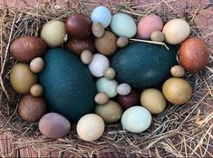 an arrangement of different colored eggs in a nest