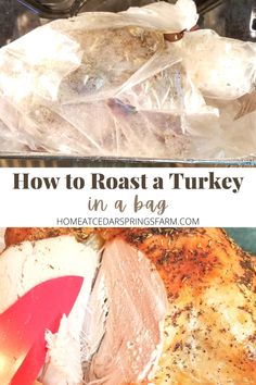 how to roast a turkey in a bag