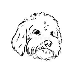 a black and white drawing of a dog's face royalty illustration on a white background