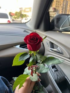 a person holding a red rose in their hand while sitting in a car with the dashboard light on