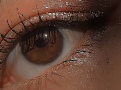 an eye with long lashes and brown eyeshade is seen in this close up photo