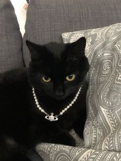 a black cat wearing a pearl necklace on top of a gray couch with white pillows