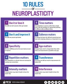 the ten rules for neuroplastity info sheet with instructions on how to use it