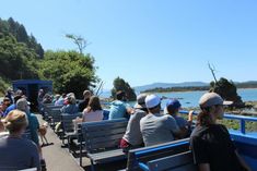 people sitting on benches looking out at the water and mountains in the distance with blue skies