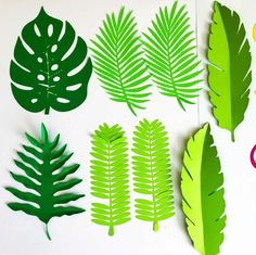 paper cut out of different types of leaves