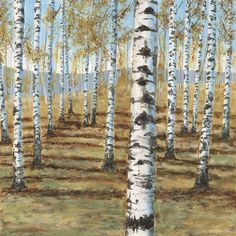 Birch Hillside I Poster Print - Michael Willett-VARPDX206026FN Image 1 Living Room Canvas, Landscape Artwork, Bathroom Wall Art, Stock Paper, Art Themes, World Art, Fine Arts Posters, Unframed Art, Canvas Home