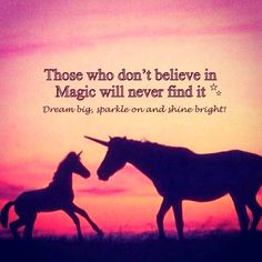 two unicorns in silhouette against a sunset with a quote from the book, those who don't believe in magic will never find it