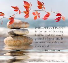 "Meditation is the art of learning how to tend the sacred ground of your life. It connects you with your inner world". Zen Meditation, Inner World, Meditation Quotes, Learn Art, Chakra Meditation, Mind Body Spirit, Meditation Practices, Pranayama, Mind Body Soul