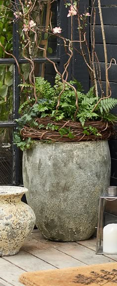 a large potted plant sitting on top of a wooden table next to a candle