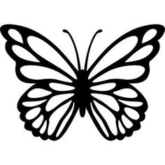 a black and white butterfly on a white background