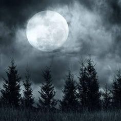 the full moon shines brightly through dark clouds above some pine trees in a field