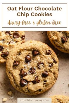 Close up of an oat flour cookie studded with chocolate chips. Oat Flour Chocolate Chip Cookies, Oat Flour Cookies, Gf Sweets, Raw Peanuts, Cookie Spread, Cookie Dough Balls