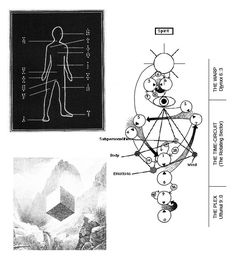 the diagram below shows different types of human body structures