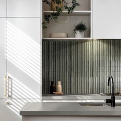 a kitchen with white cabinets and green plants