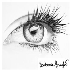 a pencil drawing of an eye with long lashes