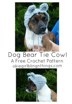 a dog wearing a knitted hat with ears on it's head and the words dog bear cowl 5 sizes - 50 + colors