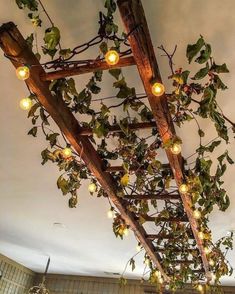 a wooden trellis with lights hanging from it's sides and vines on the ceiling