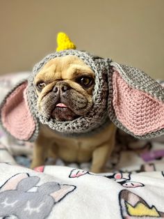 a small dog wearing a knitted hat with ears and ears on it's head