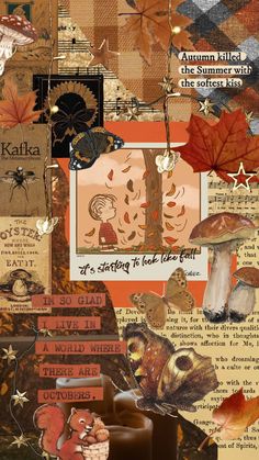 an altered collage with autumn leaves, mushrooms and other things