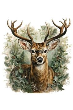 an image of a deer with antlers on it's head