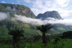 the mountains are covered with clouds and trees in the foreground is a lush green field