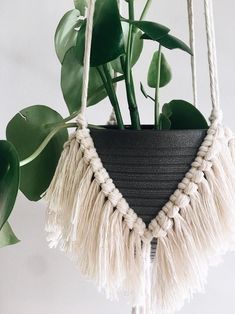 a plant hanging from a rope with some plants in it