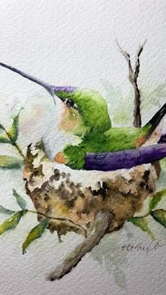 a watercolor painting of a hummingbird sitting on a branch