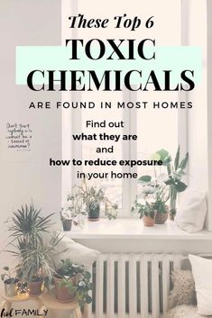 there are many houseplants and plants in the window sill with text that reads, these top 6 tonic chemicals are found in most homes